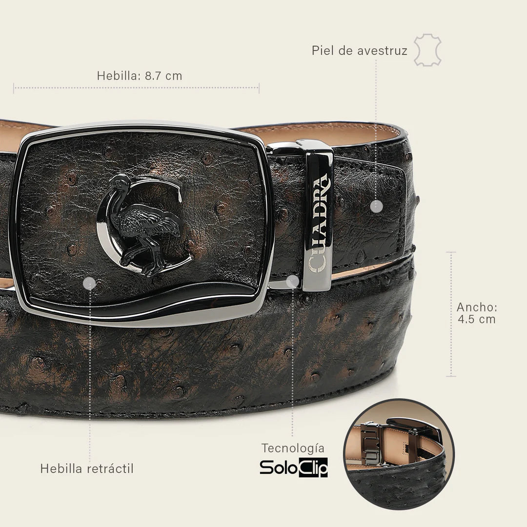 CV519A1 - Cuadra bronce ostrich leather belt for men