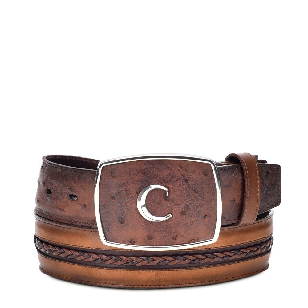 CV374A1 CHOCOLATE. CUADRA FASHION COWBOY OSTRICH LEATHER BELT-Kuet.us