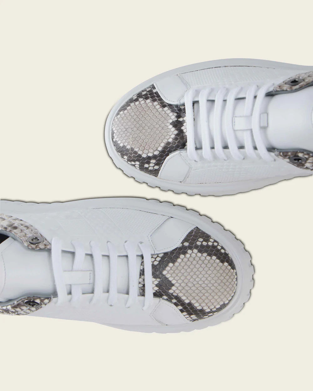 02LPBPN - Cuadra White Python Sneakers for Women