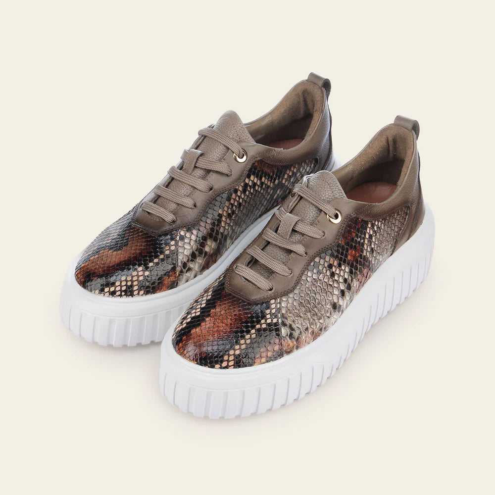 03LPBNA - Cuadra beige python sneakers for women