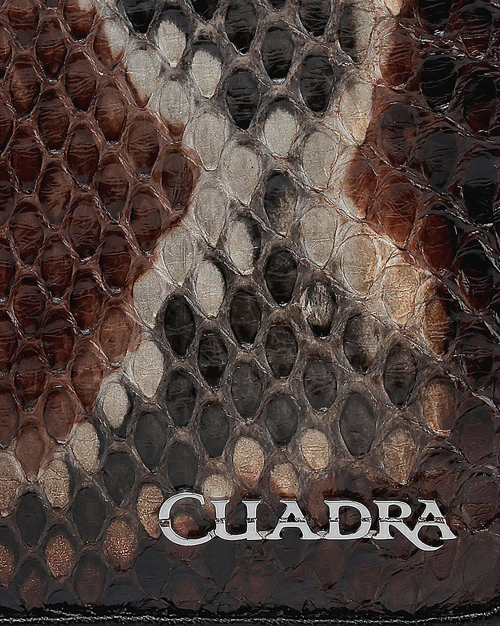 BD248PH - Cuadra brown casual fashion python skin trifold wallet for woman