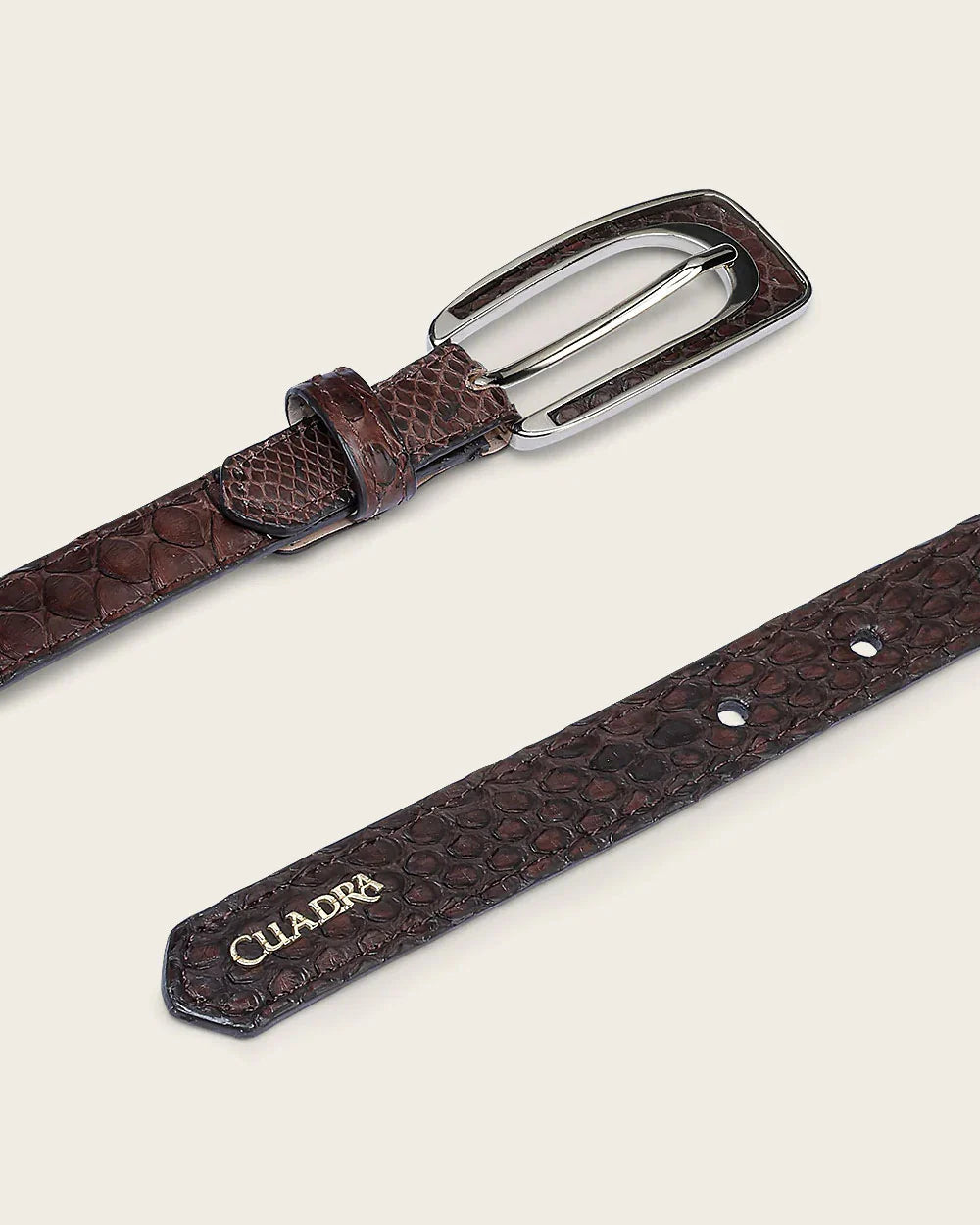 CD54DPI - Cuadra chocolate casual python belt for woman