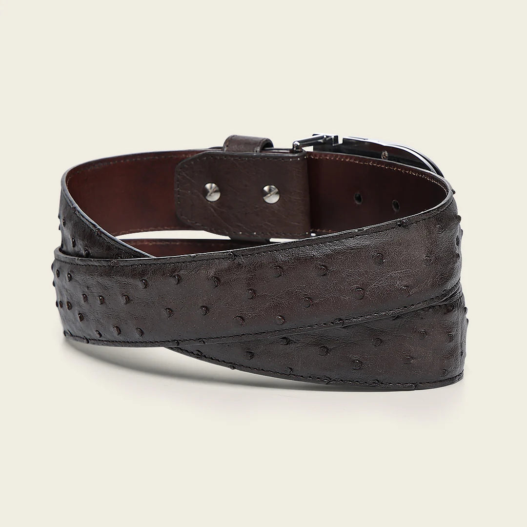 CS563A1 - Cuadra brown casual fashion ostrich belt for men