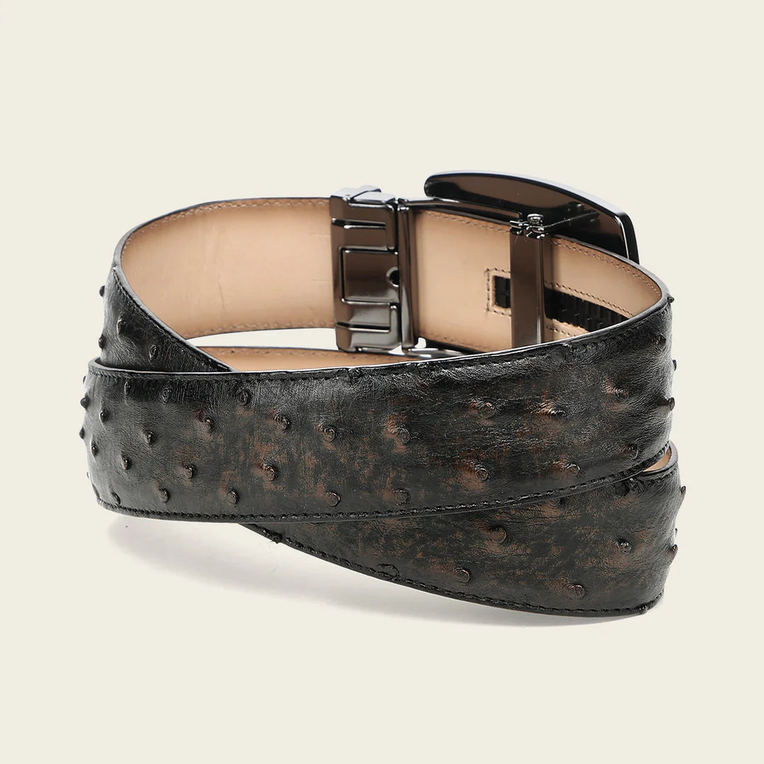 CV519A1 - Cuadra bronce ostrich leather belt for men