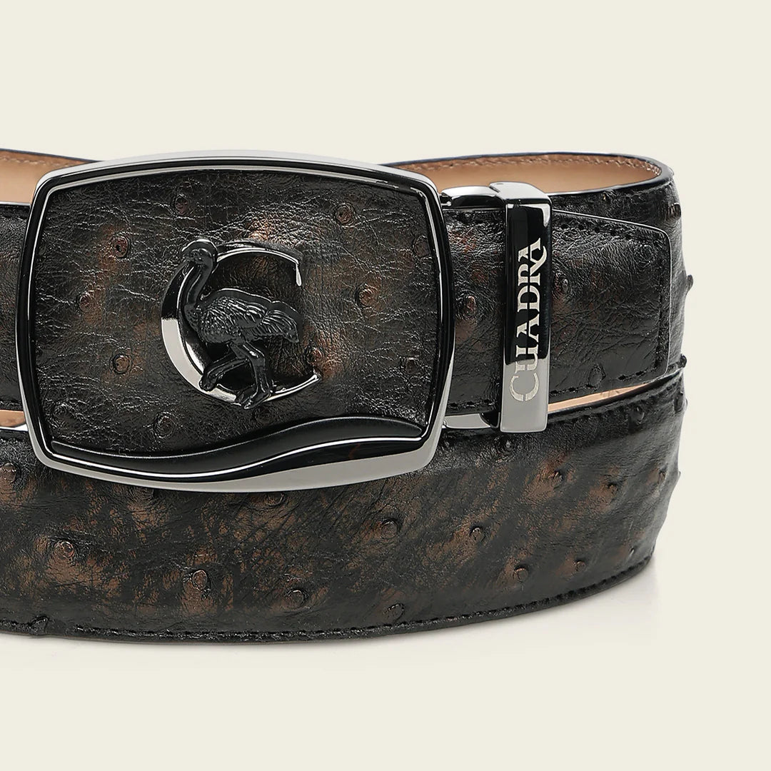 CV519A1 - Cuadra bronce ostrich leather belt for men