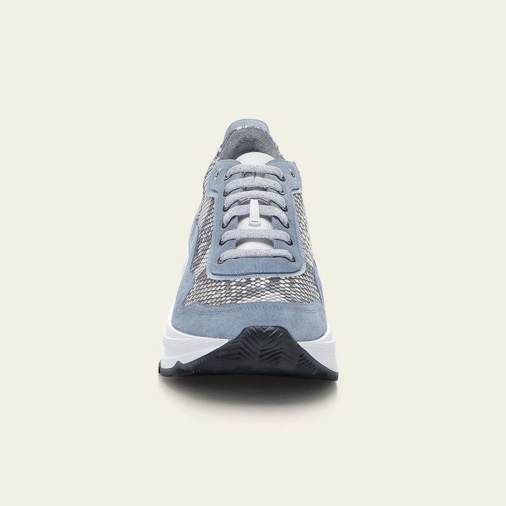 I04PBTC - blue python sneakers for women