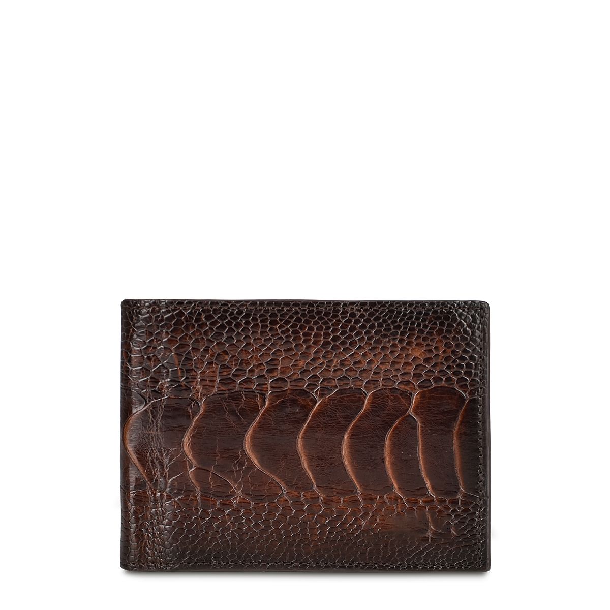 B2910PA - Cuadra chocolate classic ostrich leg bi fold wallet for men-Kuet.us