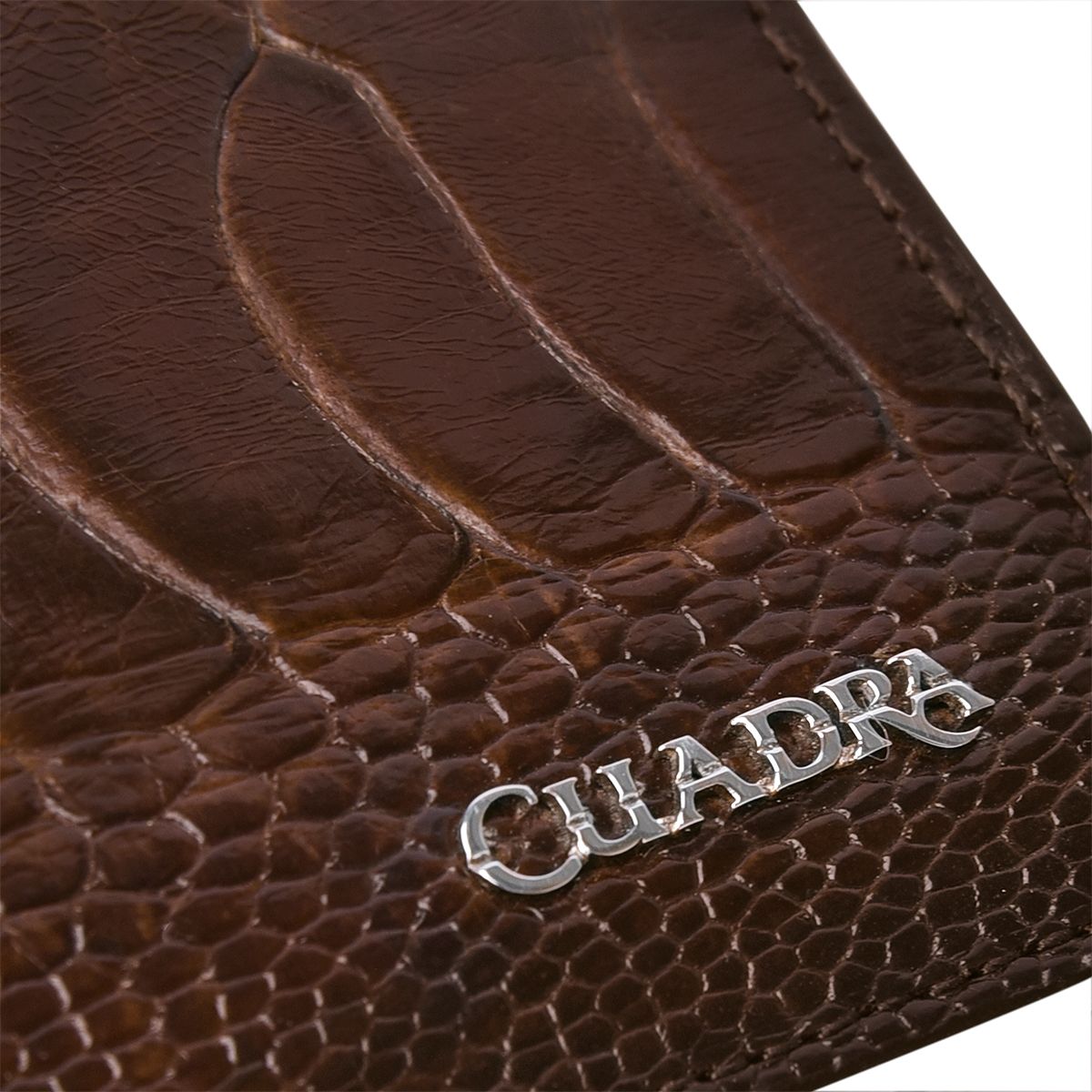 B2910PA - Cuadra chocolate classic ostrich leg bi fold wallet for men-Kuet.us